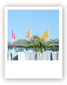 pic15